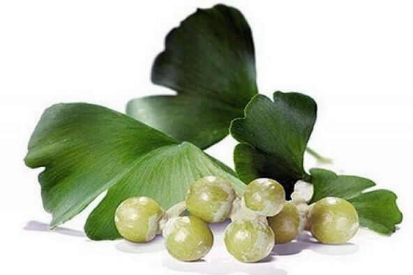 A Ginkgo Biloba növeli a férfi potenciát