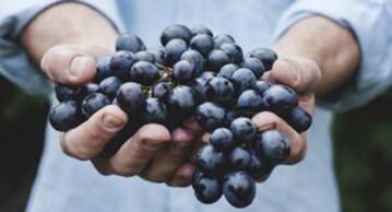 A szőlő segíti az erekció erősítését